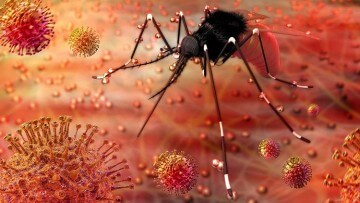 Enfermedades emergentes transmitidas por insectos en la Unión Europea